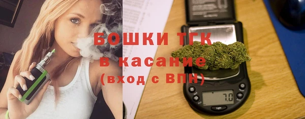 ПСИЛОЦИБИНОВЫЕ ГРИБЫ Новозыбков