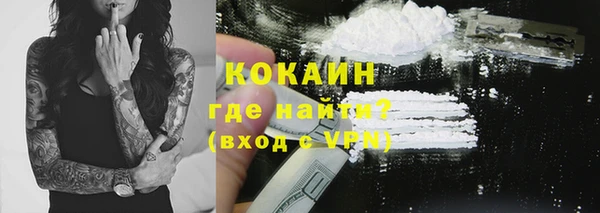 ПСИЛОЦИБИНОВЫЕ ГРИБЫ Новозыбков