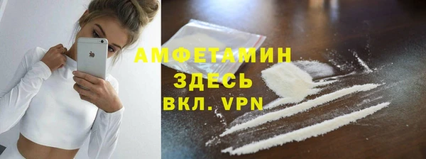 ПСИЛОЦИБИНОВЫЕ ГРИБЫ Новозыбков
