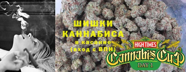 гидра Няндома