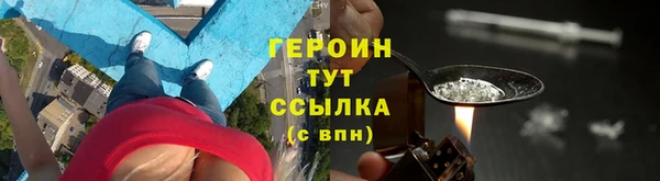 ПСИЛОЦИБИНОВЫЕ ГРИБЫ Новозыбков