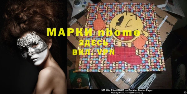 гидра Няндома
